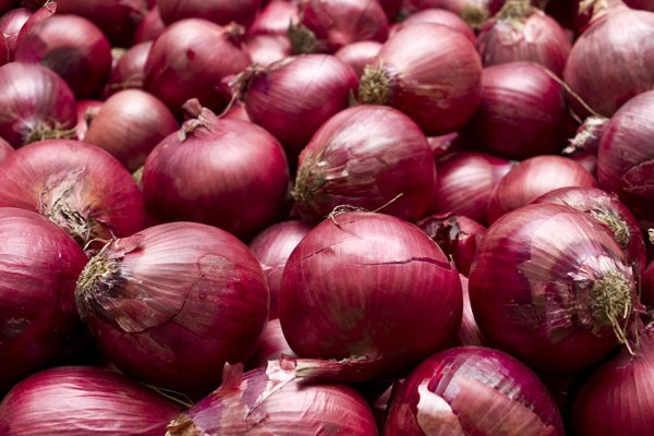 Ссылка на сайт mega onion