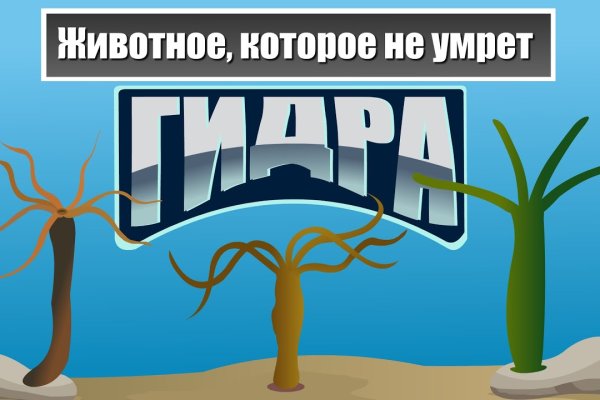 Кракен площадка торговая что это